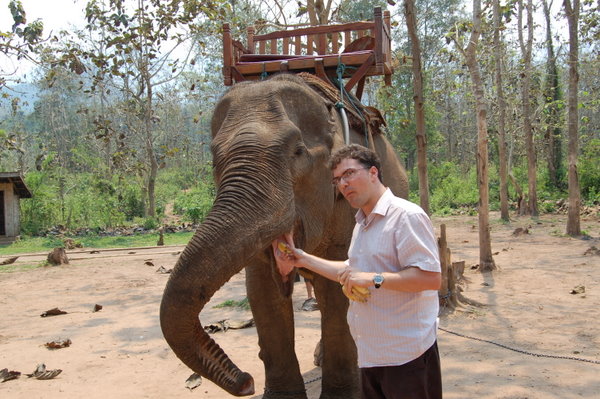 Feeding my elephant